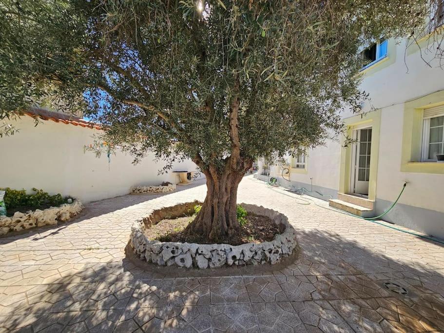 La Casa Del Arbol Villa Fuentiduena de Tajo Exterior photo