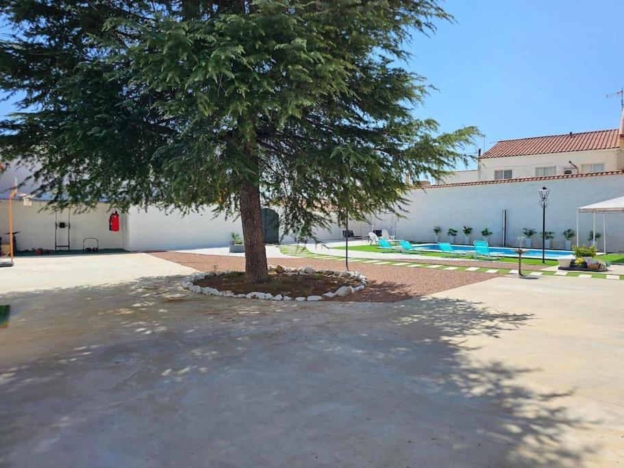 La Casa Del Arbol Villa Fuentiduena de Tajo Exterior photo